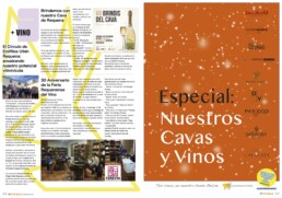 interior revista especial navidad